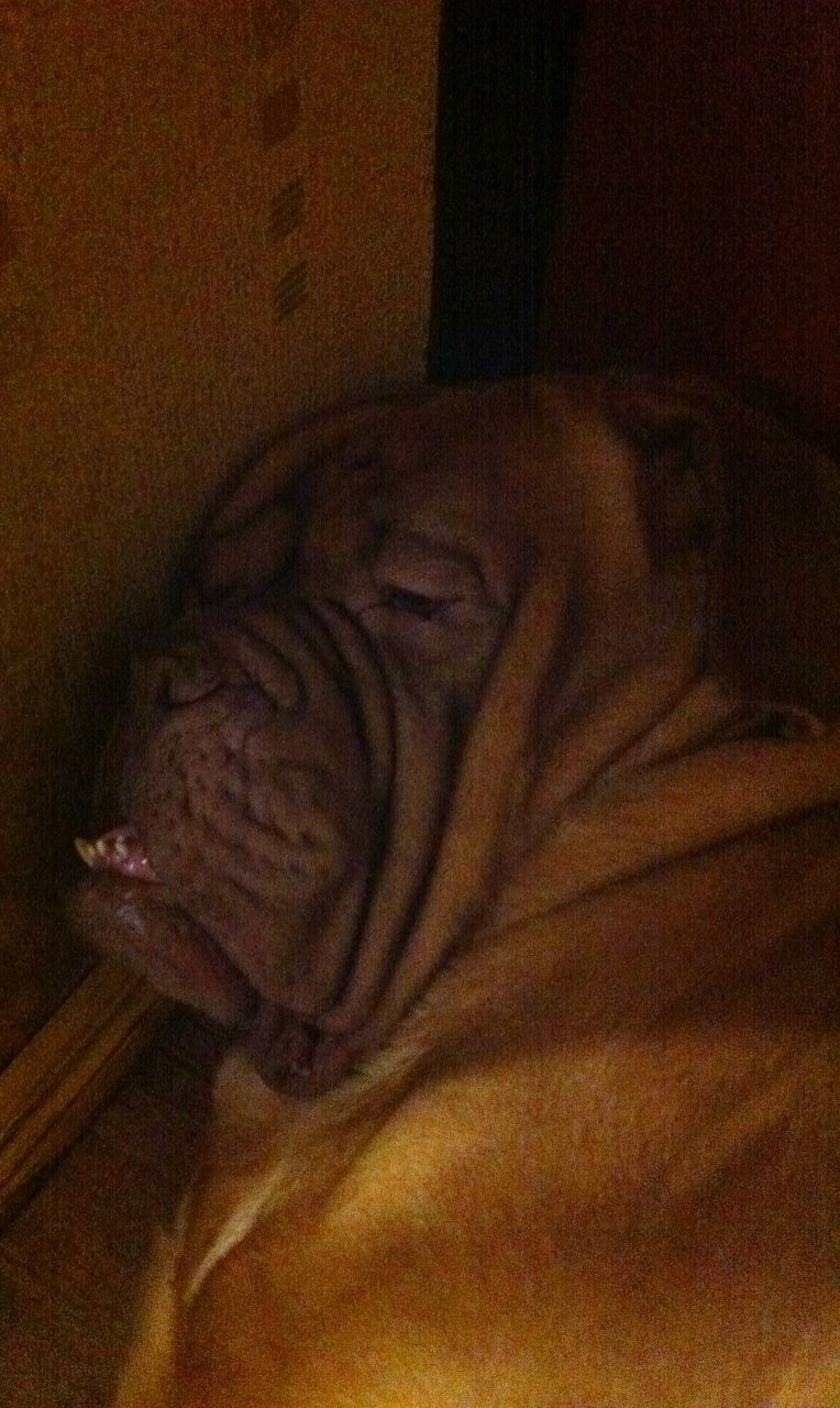 Kostya Egorov FBI | Киев