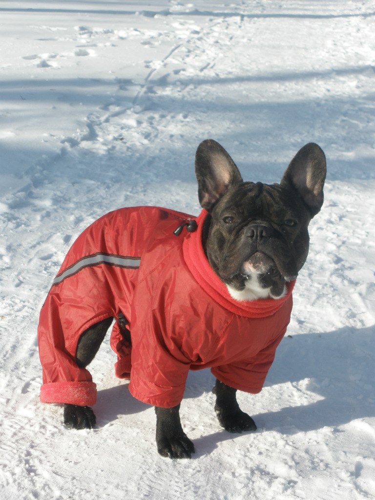 Денис Гончаров | Курахово