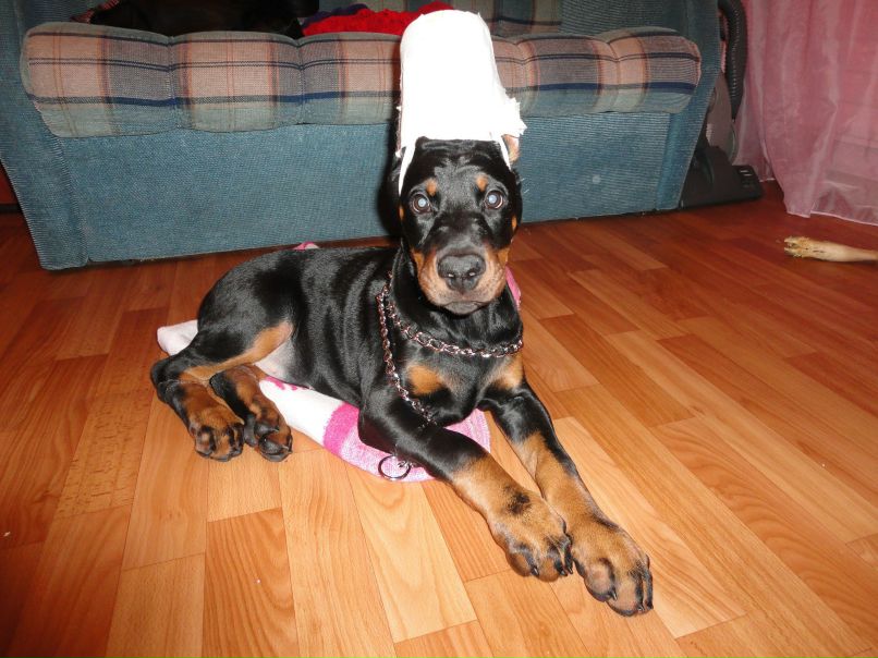 Татьяна Петрова | Санкт-Петербург