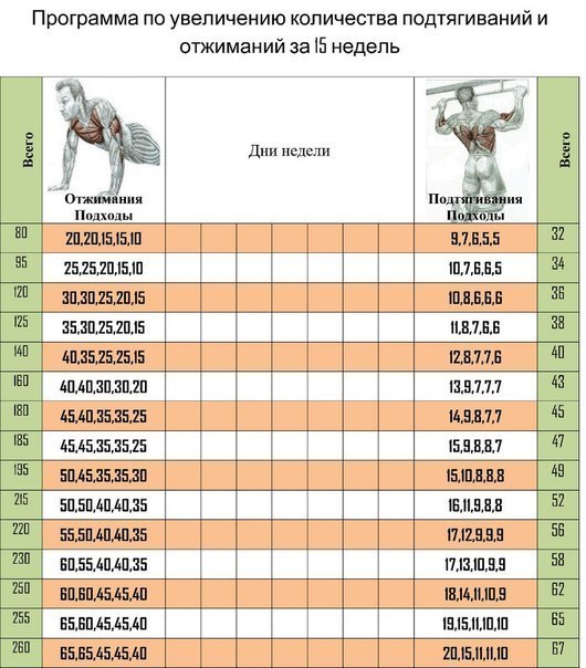 Александр Алехман | Краснодар
