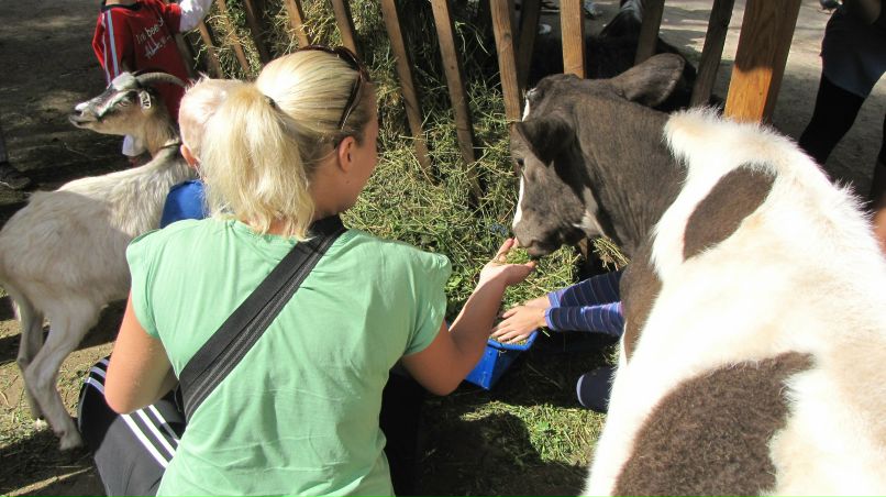 Lera Lebedeva | Киев