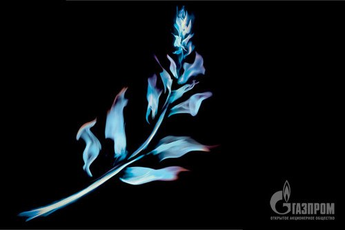 Анастасия Анастасия Kazzzza | 