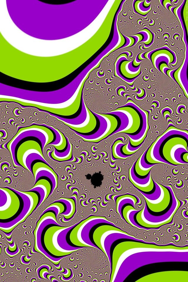 Monika Kiss | Москва