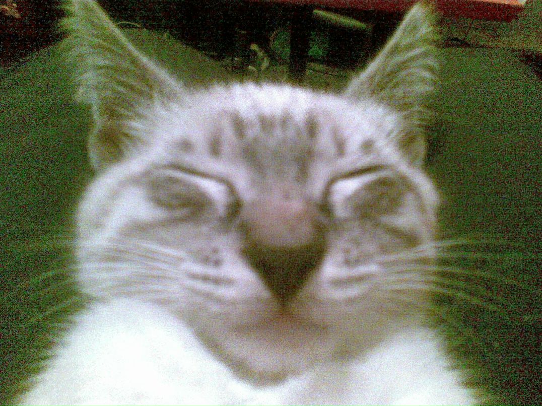 Владимир Дрынин | Архангельск