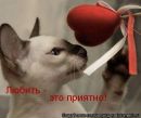 Фотография Катя Жеребцова