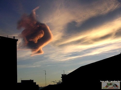 Алексей Заруцкий | Когалым