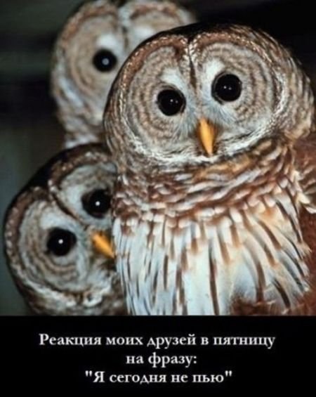 Ванька Ваганов casper | Воронеж