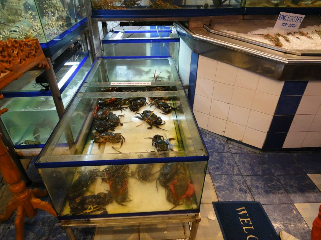 Елена Градусова | Санкт-Петербург