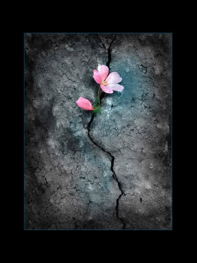 Викасян Яяяя | Москва