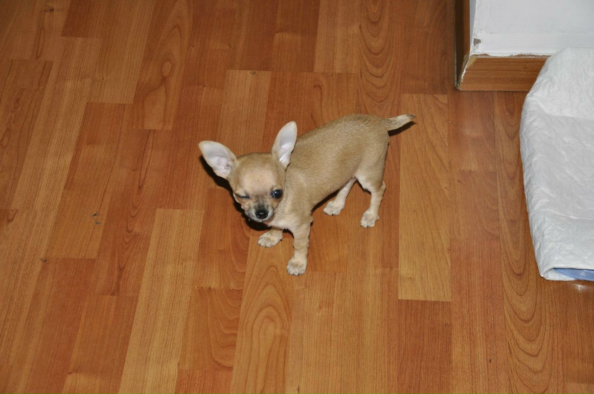 Женя Вагнер «VAGNER» | Караганда