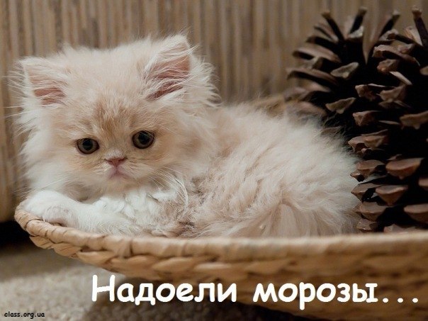 Анастасия Иванова | Самара