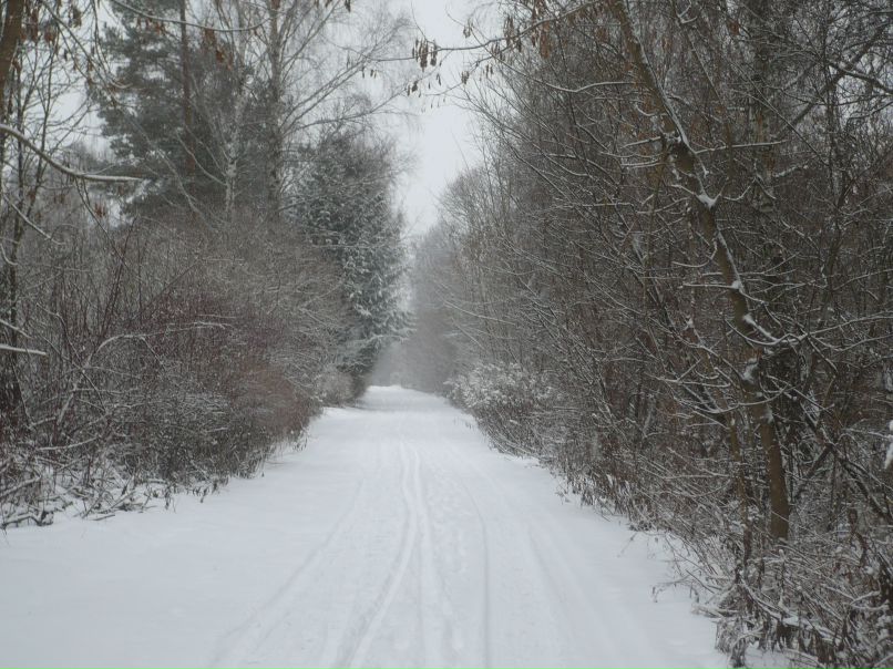 Ирина Керченко | Москва
