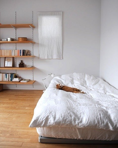 Евгения Словачевская | 