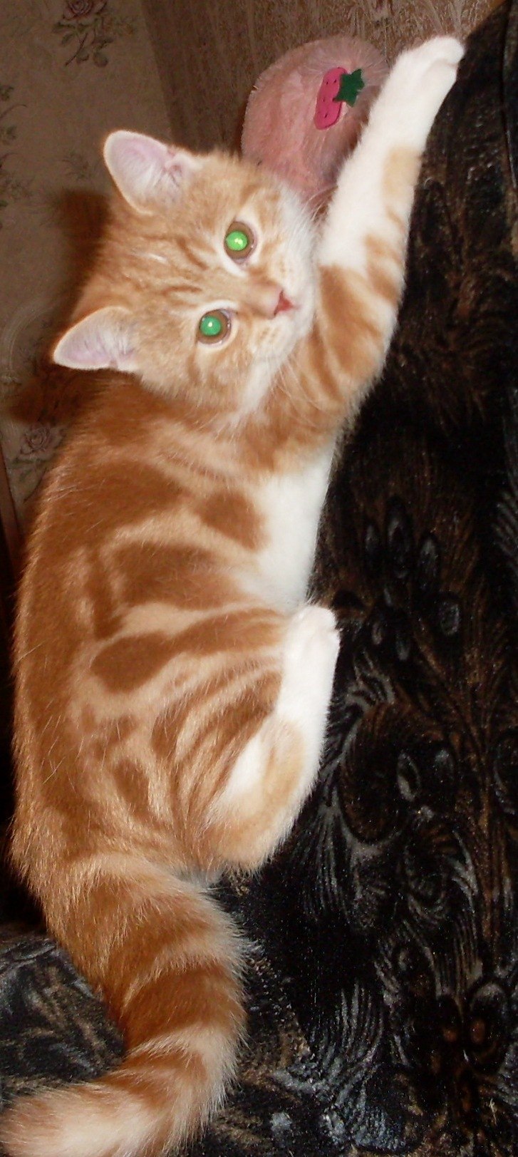 Оксана Овчинникова | Осинники