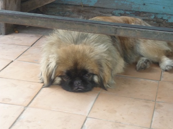 №6, Полина Цуль №6, Полина Цуль