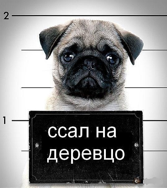 №29, Алексей Власов, 31 год, Первоуральск №29, Алексей Власов, 31 год, Первоуральск