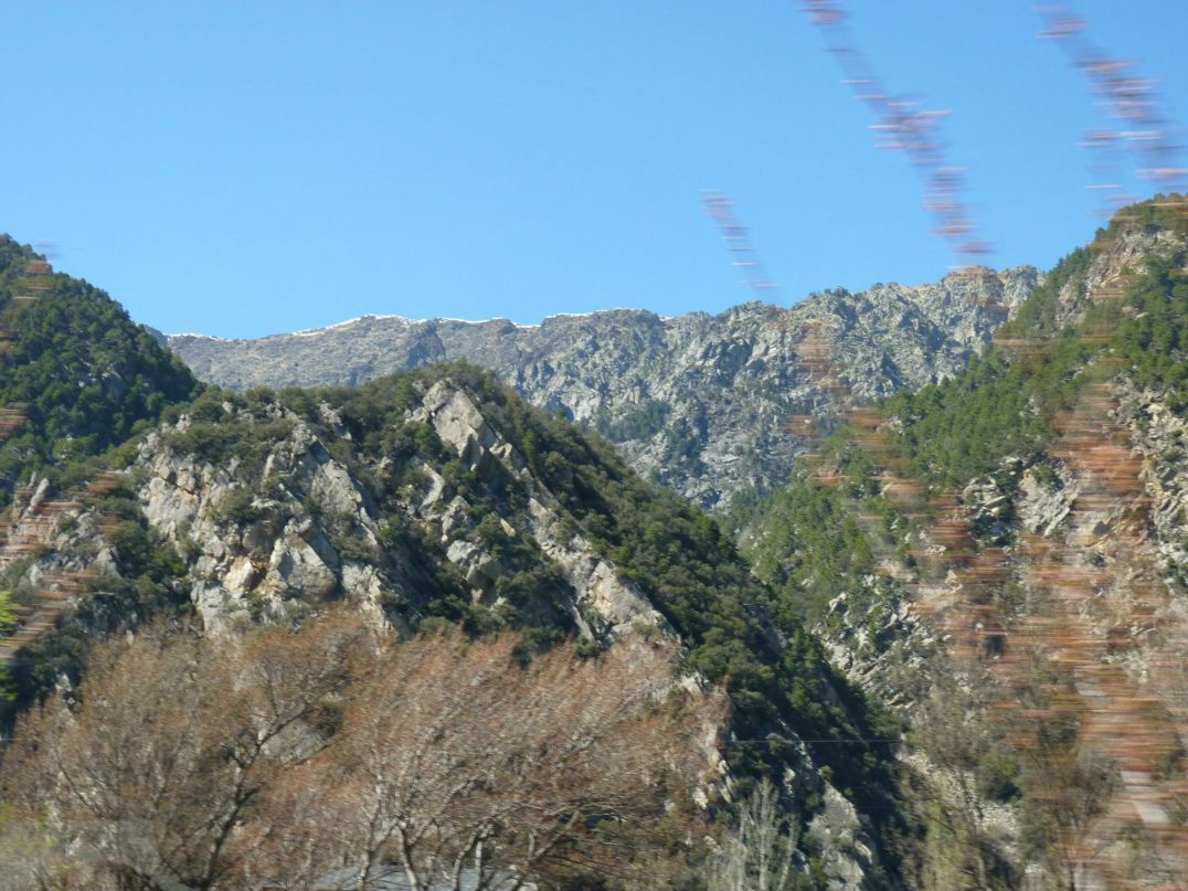 Антонина Репина | Москва