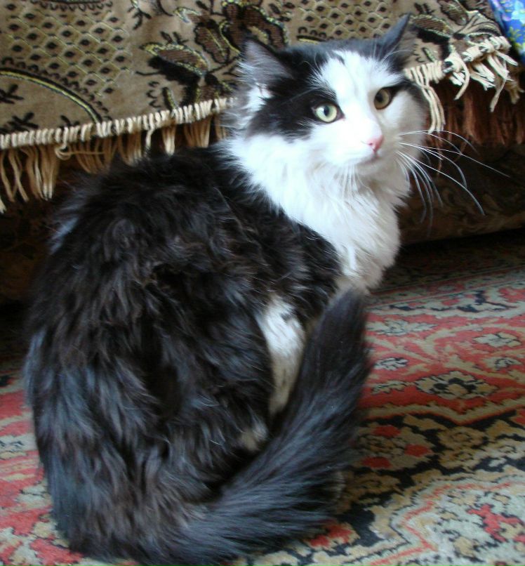 Лена Никанорова | Москва