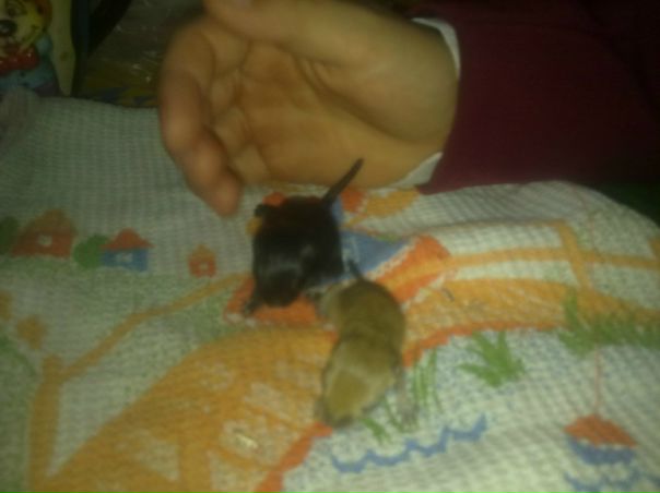 №70, Ирина Зенкова, 47 лет, Северодвинск №70, Ирина Зенкова, 47 лет, Северодвинск