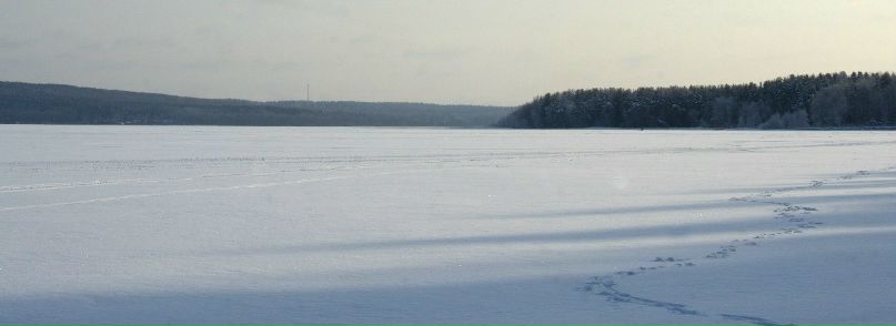 Дарья Свистова | Санкт-Петербург
