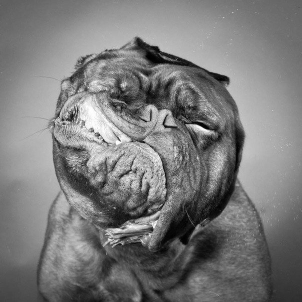 Αртем Οвчинников | Мариуполь