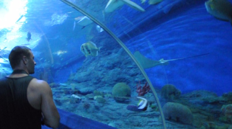 Константин Иванов | Новосибирск