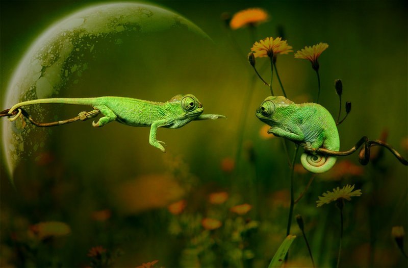 Lala Pupil | Красноярск