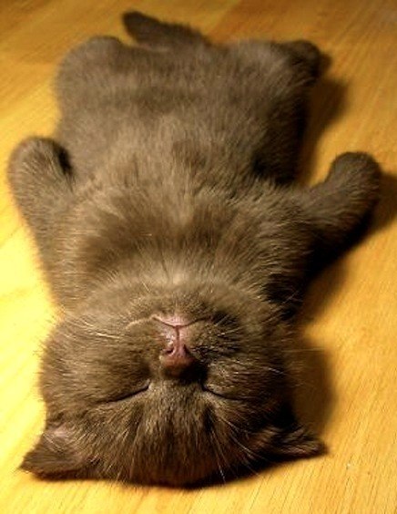 Павел Алексеенко | Москва