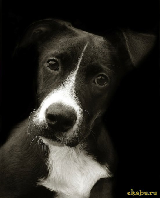 Станислав Фоканов | Екатеринбург