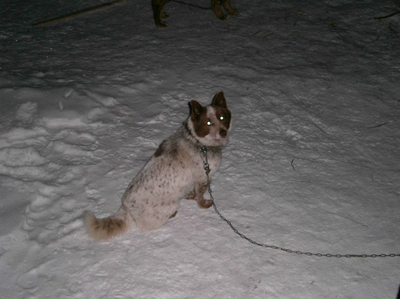 Татьяна Ващенко | Великие Луки