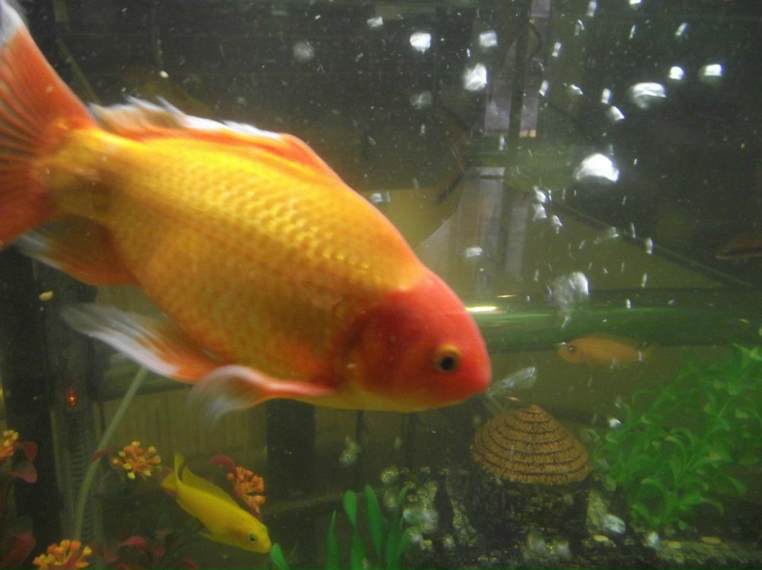 Павел Г | Омск