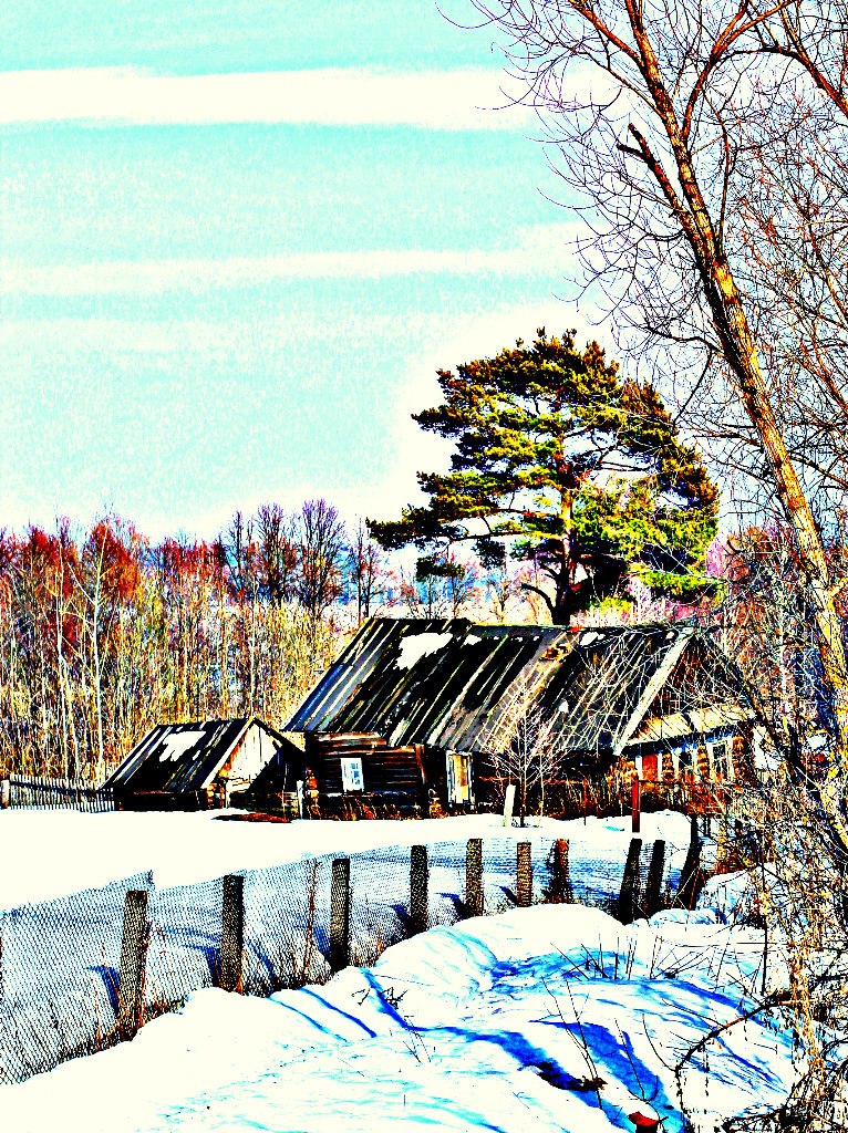 Дмитрий Фёдоров | Ташнур