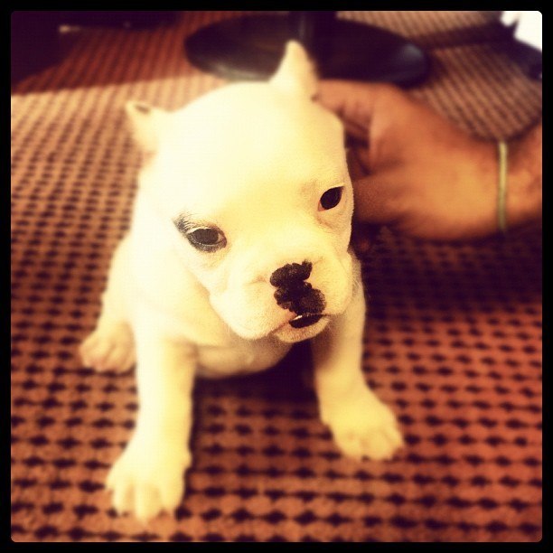 Анна Ляховецкая | Одесса