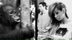 №17, Sveta Fossa, 7.8, Санкт-Петербург, Россия