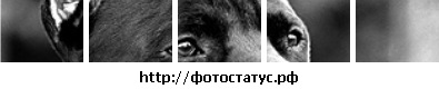 Вадим Кириллов фото со стены #1