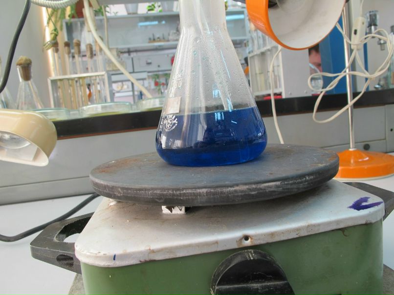 Андрей Шишкин | Ижевск