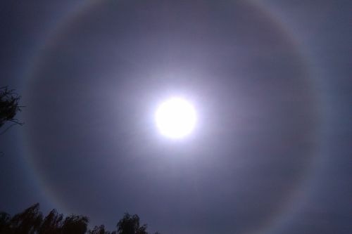 №104, Роман Оникиенко №104, Роман Оникиенко