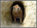Фотография Иван Остапенко