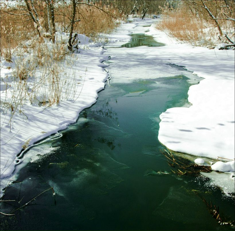 Денис Воронин | Воронеж