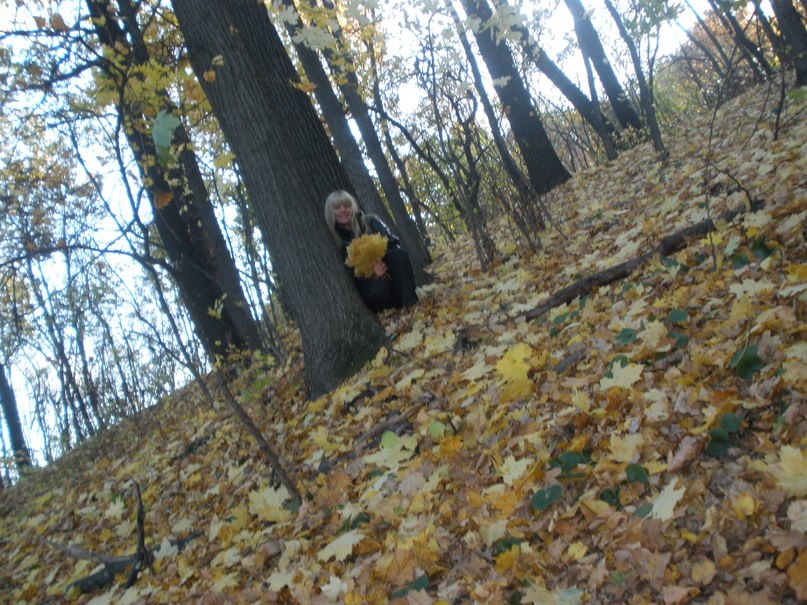 Ксения Степаненко | 