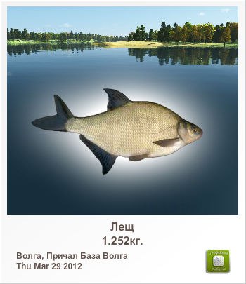 Евгений Витькин | 