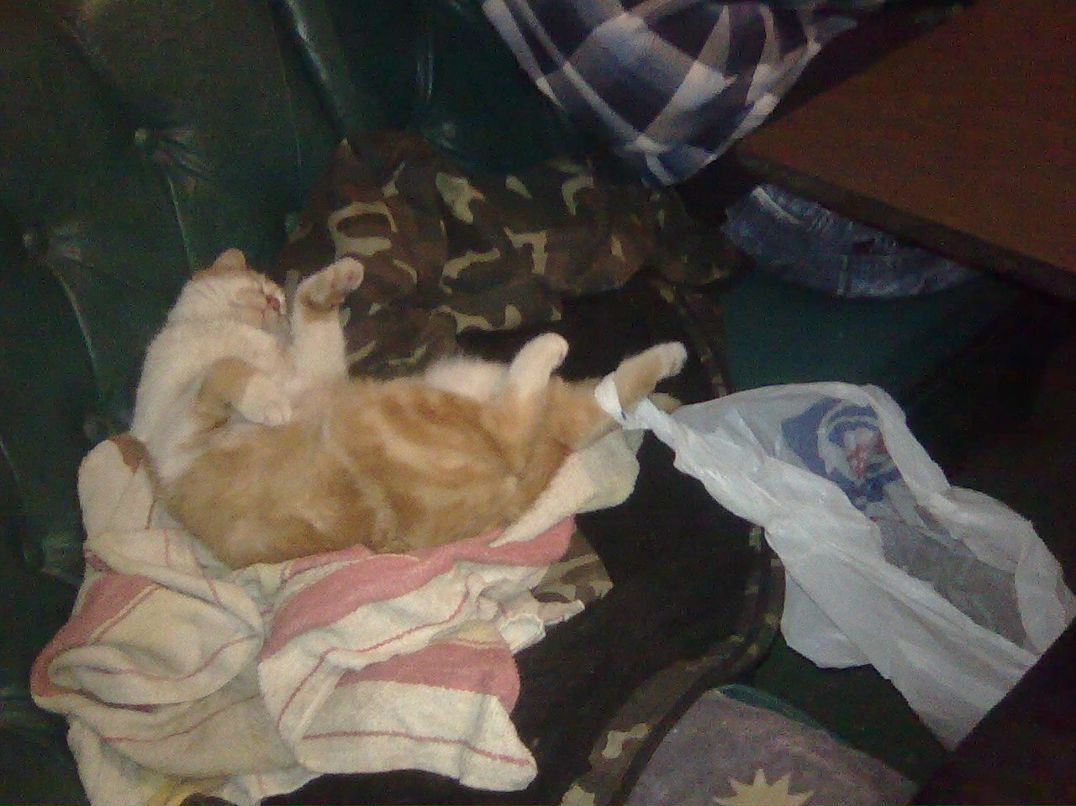 Андрей Колесник | Белозерка