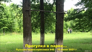 Прогулка в парке  -  Лухские видеозарисовки #46  16 июня 2021 г