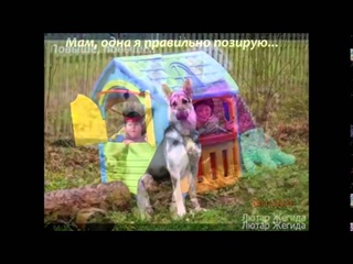Собаки Лютар с детьми (версия с музыкой)