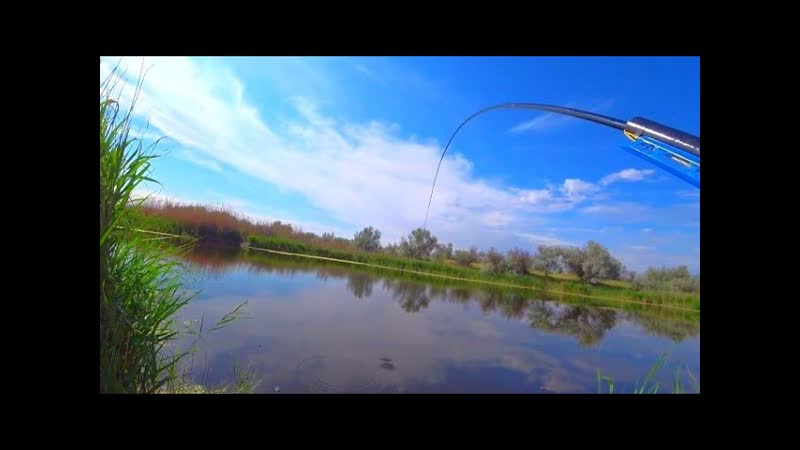ЛЮТЫЙ ЖОР КРУПНЯКА ПОД НОГАМИ НА УДОЧКУ РЫБАЛКА НА