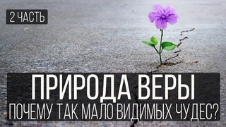 Природа веры (2 часть). Почему так мало видимых чудес | Николай Лапшин