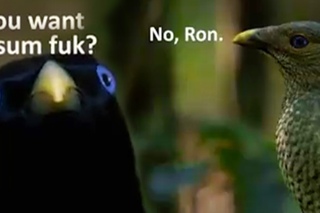 Lemme Smash 1 (Original)