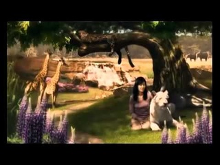 Василий Тушкин. Фильм Единая картина мира (2010)