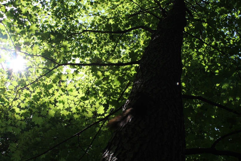 Ольга Потапенко | Санкт-Петербург