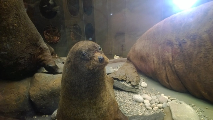 Артем Горбачёв | Жуковский